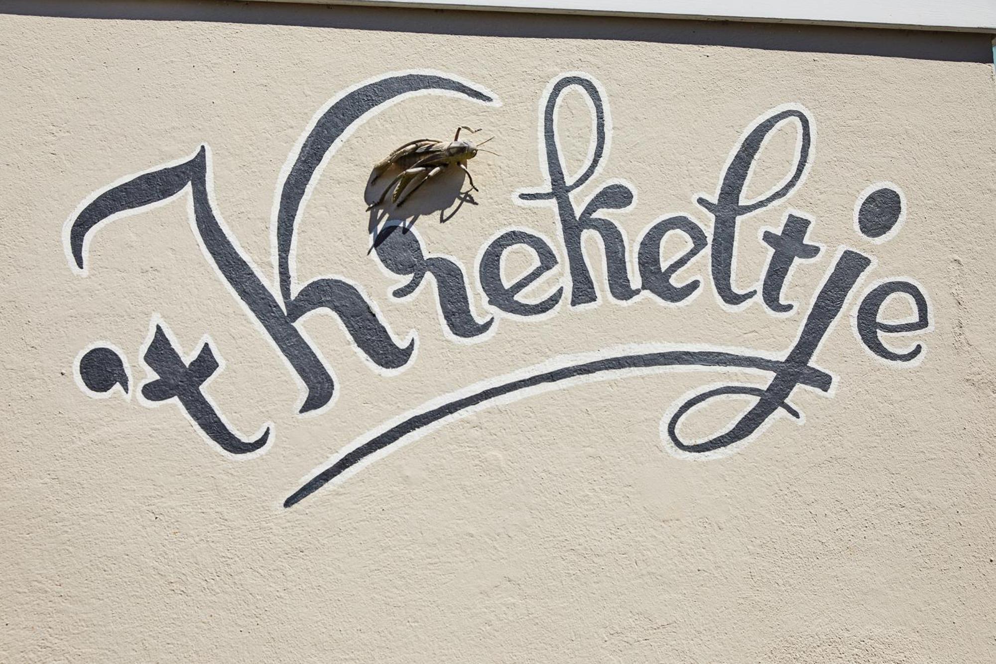 Het Krekeltje Appartement Zandvoort